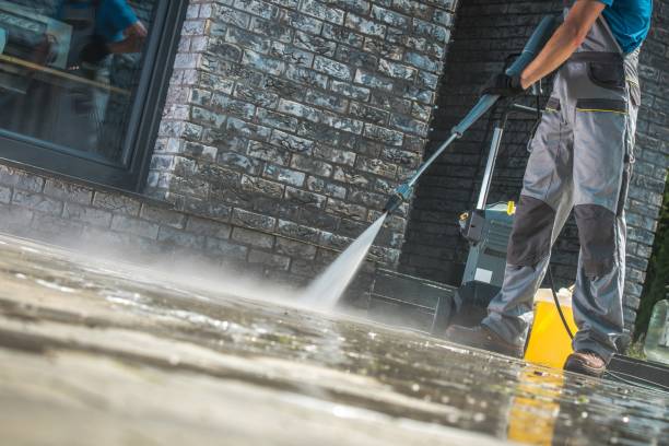 Best Animal Enclosure Cleaning  in Westfield, PA