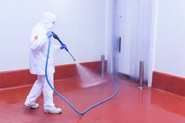 Best Fleet Vehicle Washing  in Westfield, PA
